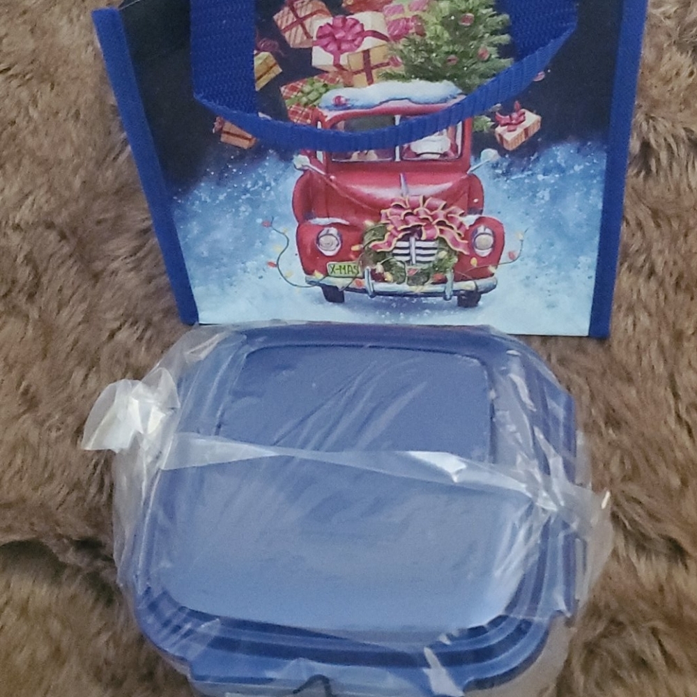 - Lock and lock handle storage with tote bag